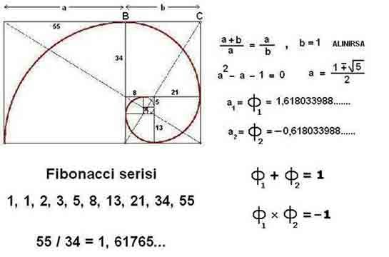 altin-oran-fibonacci.jpg