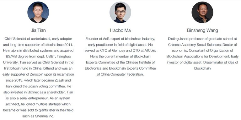 Hitchain Advisor.jpg