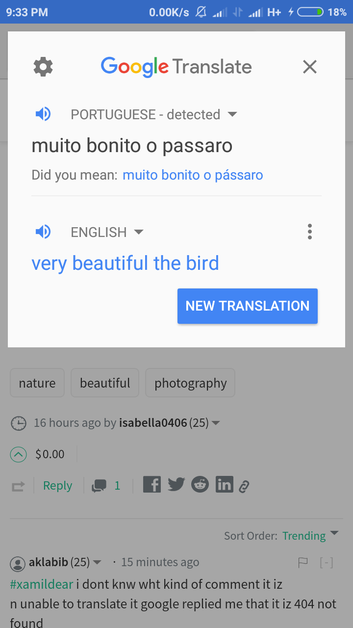 Screenshot_2018-09-04-21-33-24-648_com.google.android.apps.translate.png