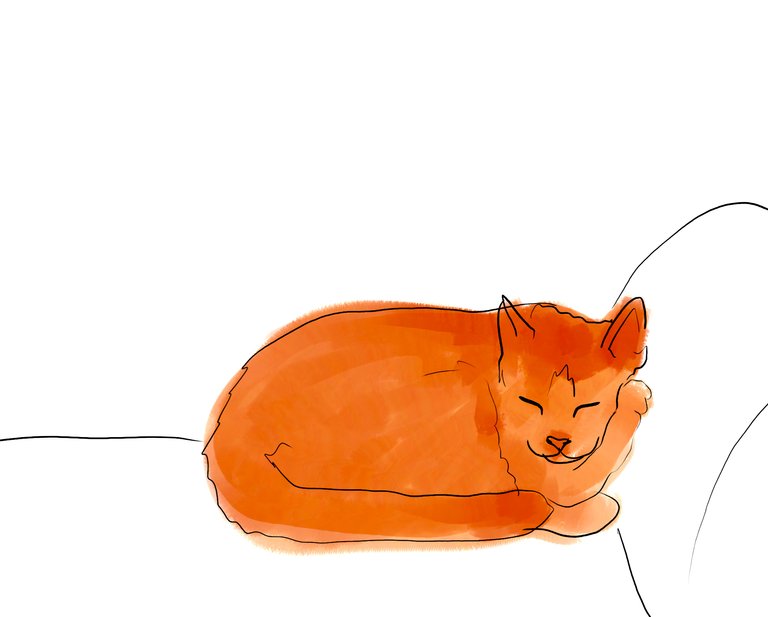 sleepycat(502).jpg