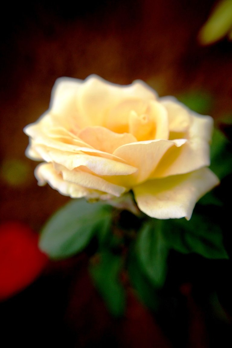 IMG_2686.JPG
