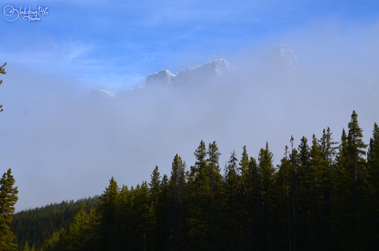 castle mountain5.jpg