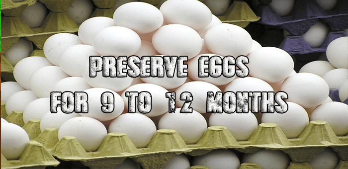 preserveeggs.png