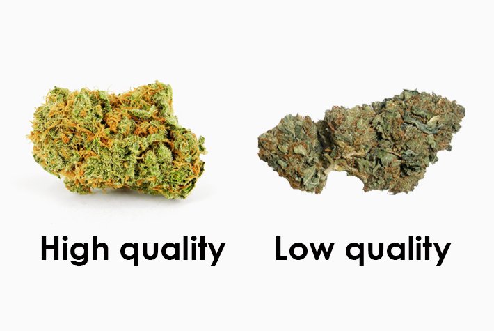 High-Quality-Weed-vs-low-quality-weed.jpg