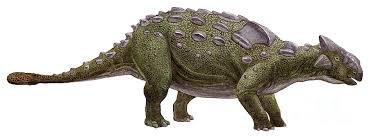 ankylosaurus.jpg