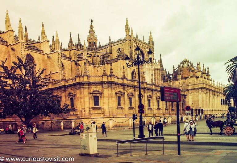 1806_Seville_Cordoba_Jerez-1010062 (Copy).jpg