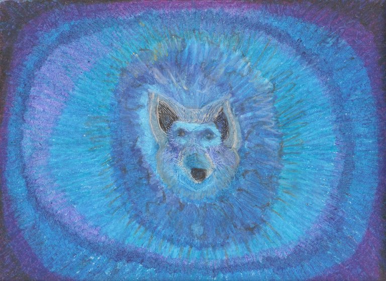 blue wolf 001.jpg