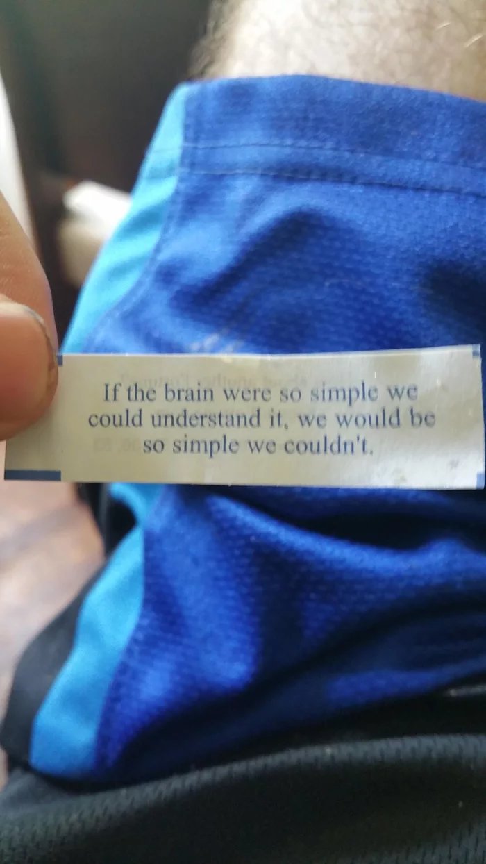 Whoever-wrote-this-fortune-was-definitely-stoned.jpg