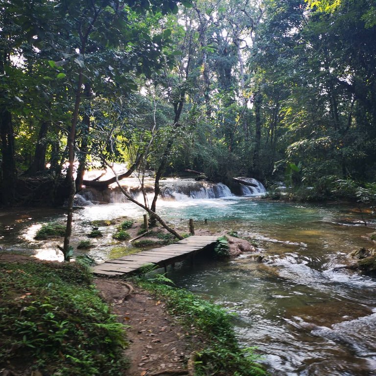 Agua Azul 2.jpg