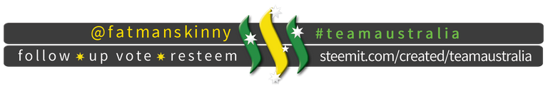 TeamAustralia Slim Banner