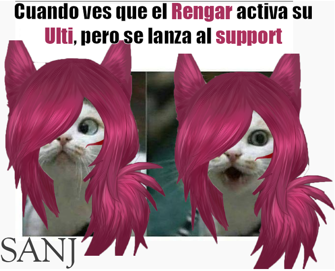 xayahgato.png