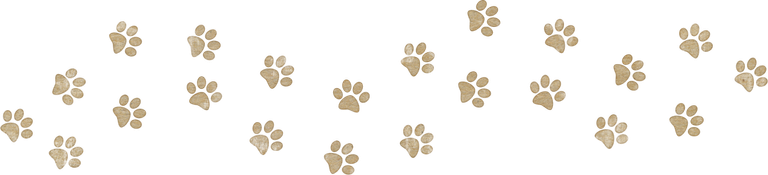 KAagard_FurbabiesCats_PawPrint-1.png