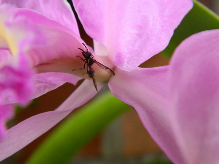 DSCN9978.JPG