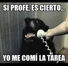 excusas.jpg