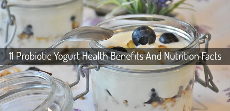 11-Probiotic-Yogurt-Health-Benefits-And-Nutrition-Facts.jpg