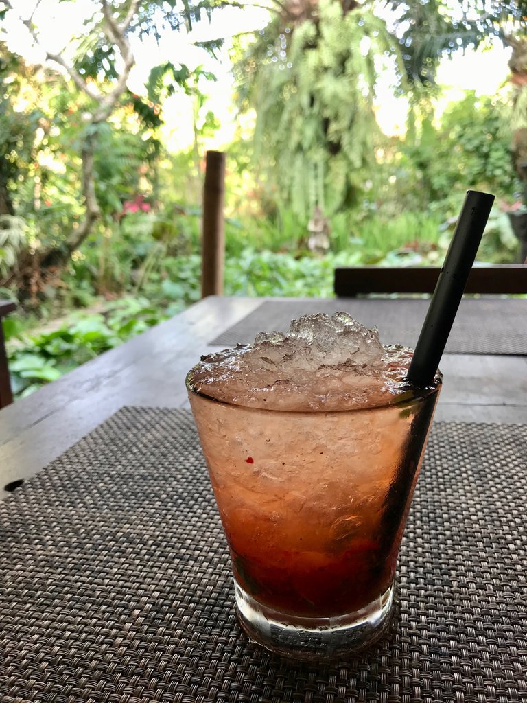 watermel mojito.jpg