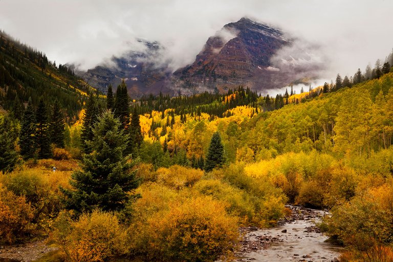 maroon bells aspens.jpg