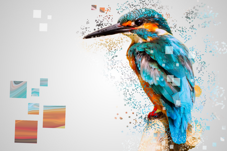 Kingfisher_pixeleted.png