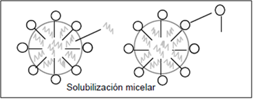 proceso 4.png