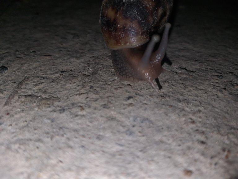 20180823_213118.jpg