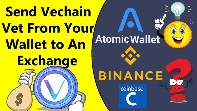 How Transfer Vechain (VET) To Any Exchange By Crpto Wallets Info.jpg