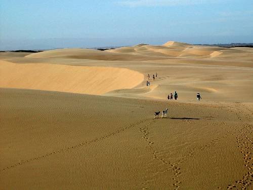 medanos500.jpg