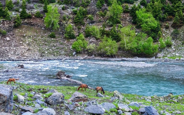 Kalam_in_Swat_Pakistan_D.jpg