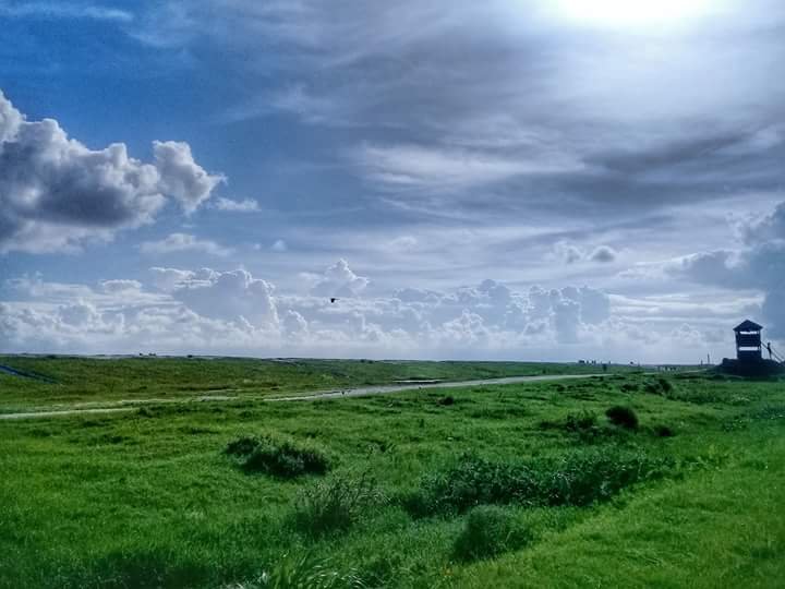 _IMG_1537524786106.jpg