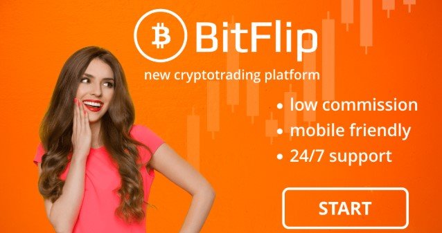 BITFLIP.jpg