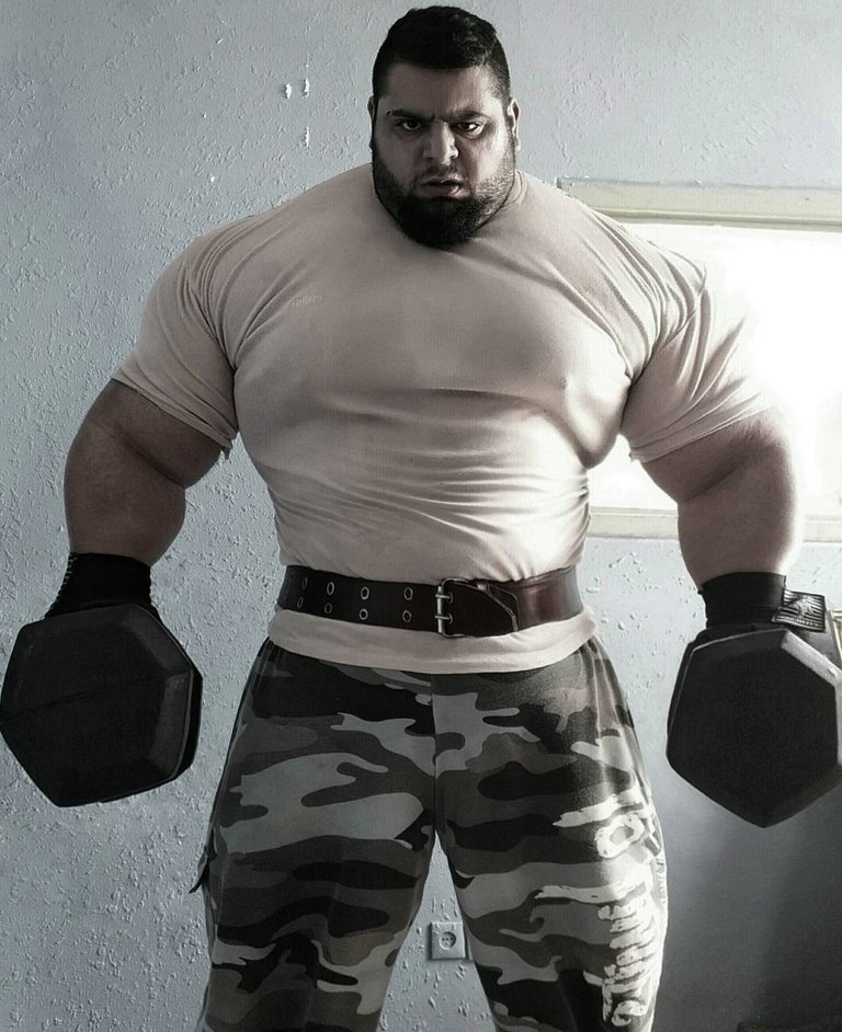 Sajad Hulk2.jpg