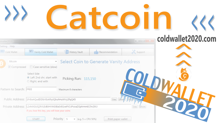 Catcoincoldwallet.png