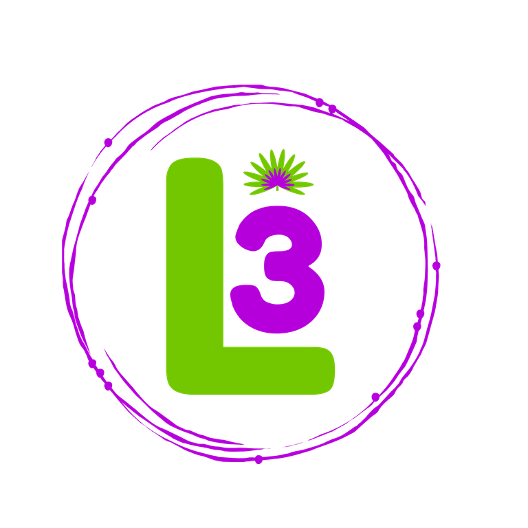 L3-logo.png