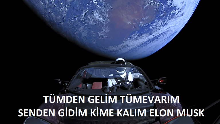 Elon_Musk27s_Tesla_Roadster_284011029785229.png