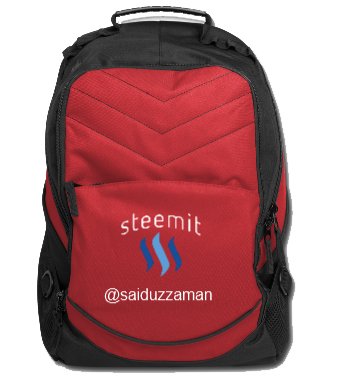 steemit bag.jpg