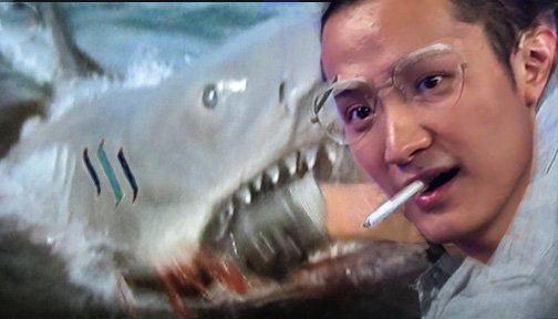 Feeding the Shark.jpg