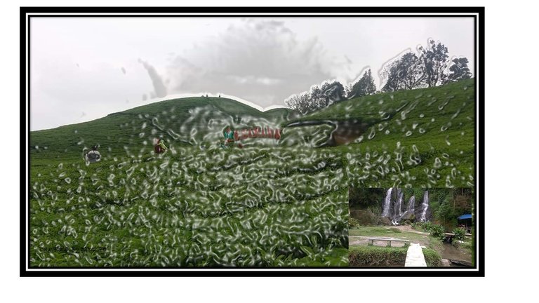 Slide1.JPG