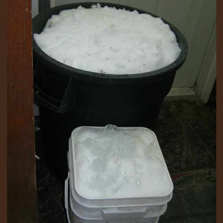 snow collected in pail and bin in porch.JPG