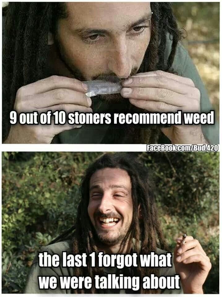 0a8c7c94bb989c570b3ec8e560eb05b5--stoner-humor-weed-humor.jpg