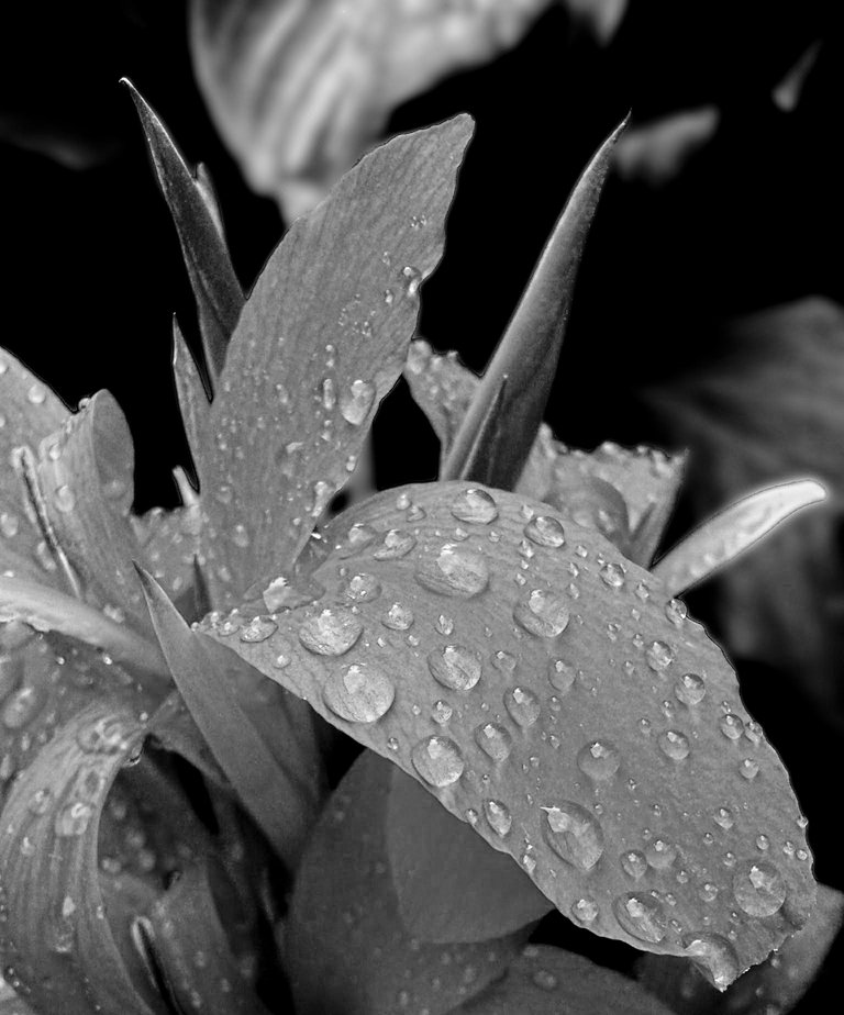 20160917_115522a.jpg