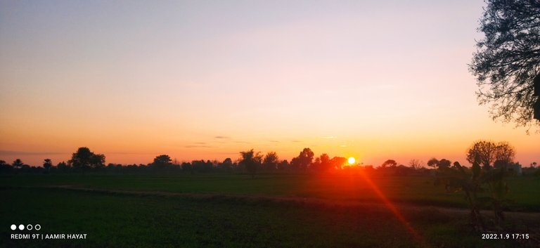 IMG_20220109_171524.jpg