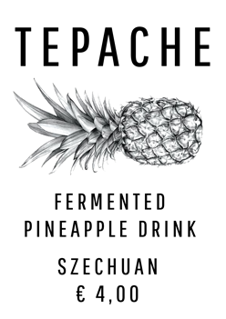 tepache-szechuan.png