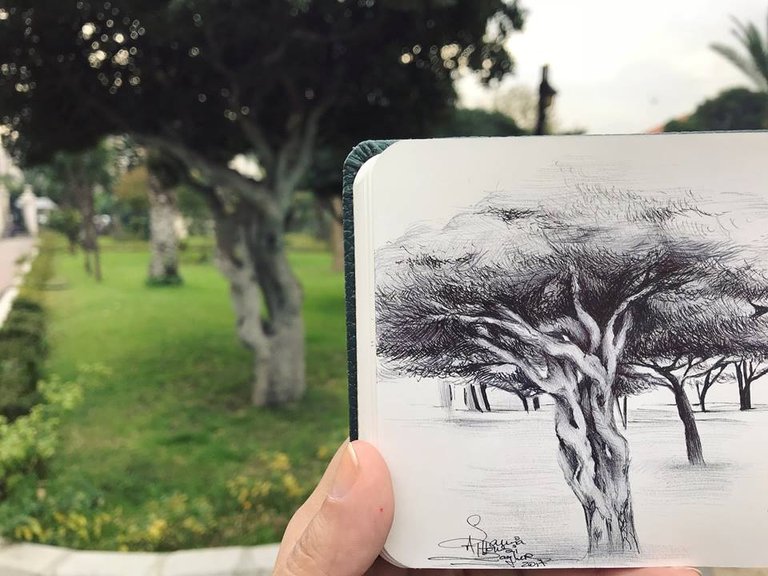 arbol sketch.jpg