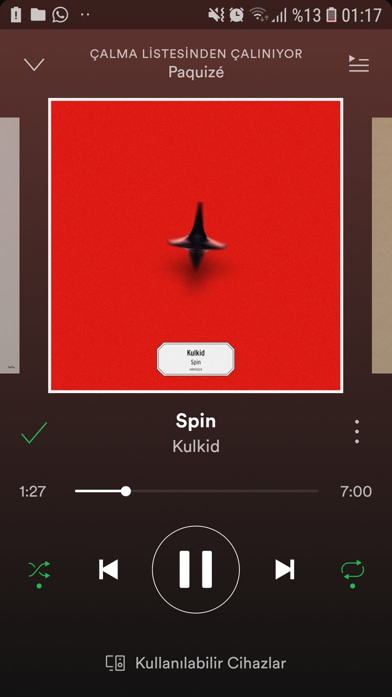 Screenshot_20190328-011741_Spotify.jpg