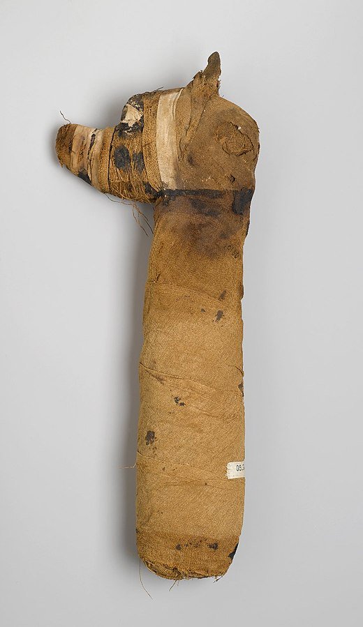 520px-Dog_Mummy,_305_B.C.E.-395_C.E.,05.308.jpg