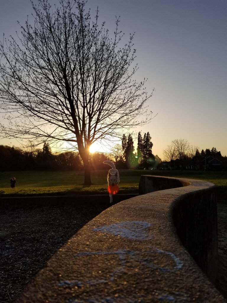 sunset at heron playground.jpg