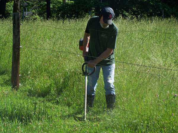 David whacking fenceline3 crop June 2018.jpg