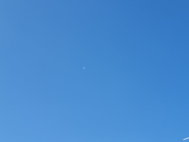 20181101_095442.jpg