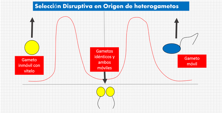 grafico.png