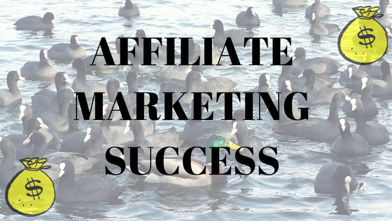 AFFILIATE MARKETINGSUCCESS.png