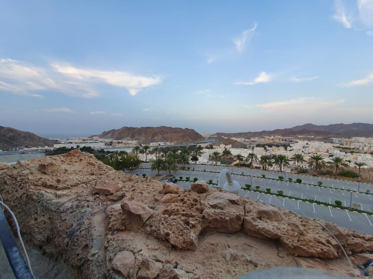 view muscat3.jpg